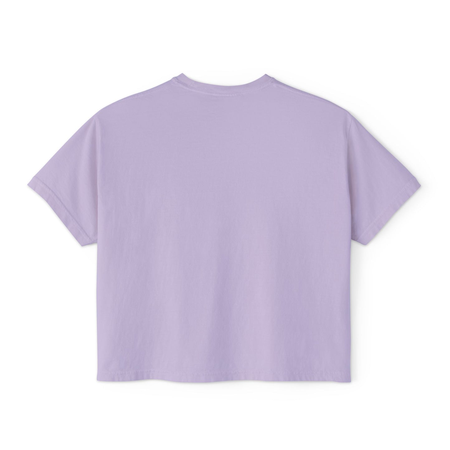 Mardi Gras Box Tee, New Orleans Vacation Shirt, Purple Yellow Green Crop Top, Girl's Trip Shirt, Simple Minimalist Ladies Tee, Young Woman