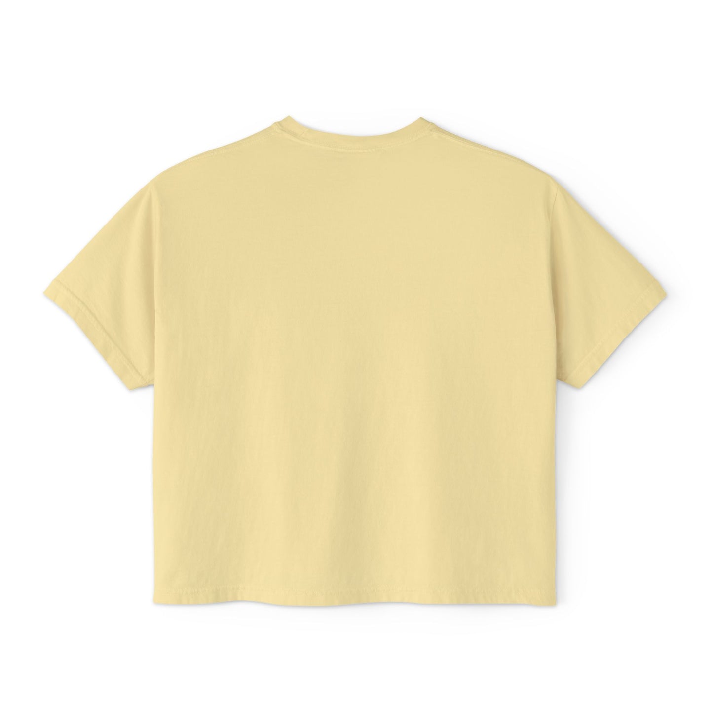 Mardi Gras Box Tee, New Orleans Vacation Shirt, Purple Yellow Green Crop Top, Girl's Trip Shirt, Simple Minimalist Ladies Tee, Young Woman